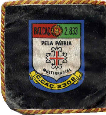 Companhia de Caçadores 2309